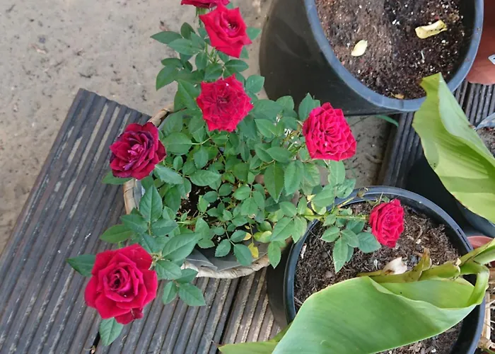 منزل للإقامة Dahme Am Wasser