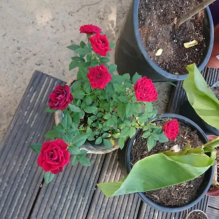 홈스테이 Dahme Am Wasser